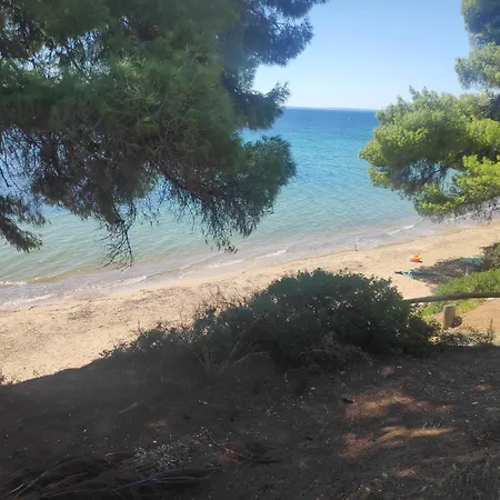 Villa Korina - Beachfront Maisonette Between & Metamorphosis *